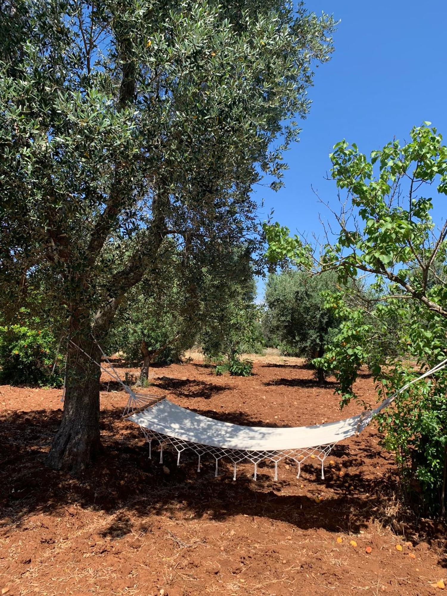 Casa Trullo Bianco: Casa Limone Aparthotel Ceglie Messapica Exterior foto