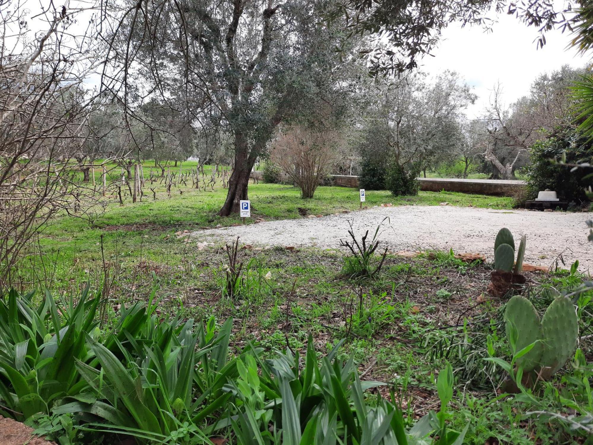 Casa Trullo Bianco: Casa Limone Aparthotel Ceglie Messapica Exterior foto